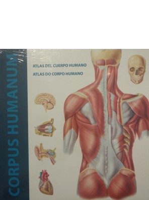 Corpus Humanum. Atlas del...